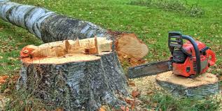 Best Tree and Shrub Care  in Upper Fruitland, NM